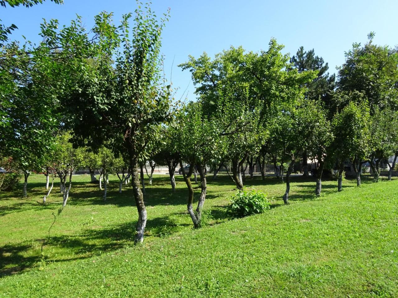 Apartment Una Laguna Bihać Exterior foto